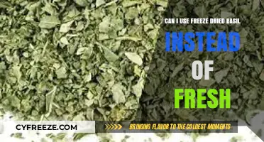 Substituting Freeze-Dried Basil for Fresh: A Flavorful Guide