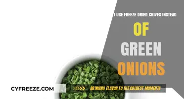 Chive Change: Substituting Freeze-Dried Chives for Green Onions in Recipes