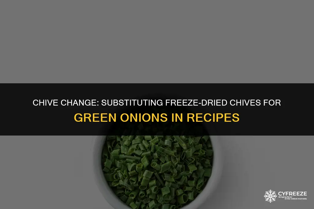 can i use freeze dried chives instead of green onions