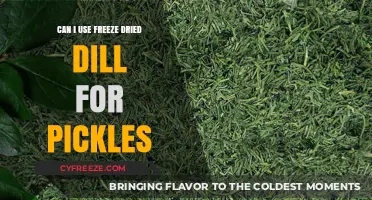 Reviving Flavor: The Surprising Truth About Freeze-Dried Dill in Pickles