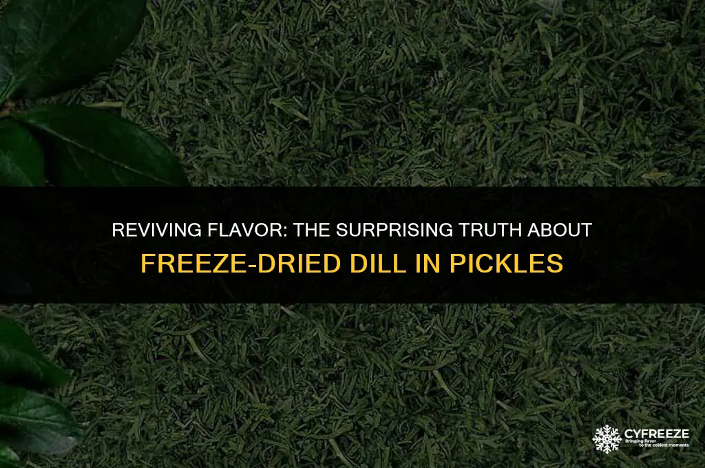 can i use freeze dried dill for pickles