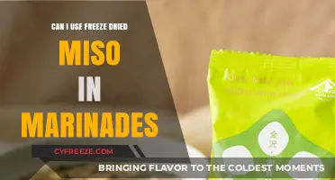 Elevate Your Marinades: The Magic of Freeze-Dried Miso