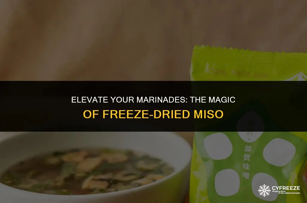 can i use freeze dried miso in marinades