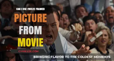 Using Freeze-Framed Movie Stills: Legal and Creative Considerations Explained