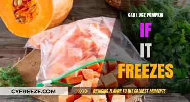 Frozen Pumpkin: Can You Still Use It After Freezing?