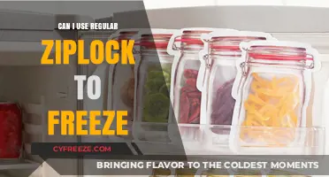Can Regular Ziplock Bags Safely Be Used for Freezing Food?