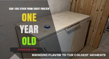 Is Year-Old Chest Freezer Stock Still Safe to Use?