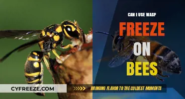 Using Wasp Freeze on Bees: Safe or Harmful Alternative?