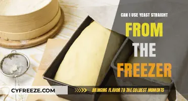 Using Frozen Yeast: Tips for Baking Straight from the Freezer