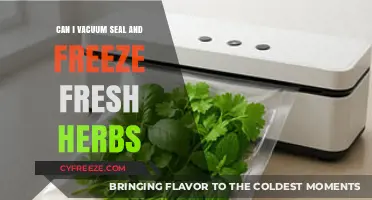 Preserve Freshness: The Ultimate Guide to Vacuum Sealing and Freezing Herbs