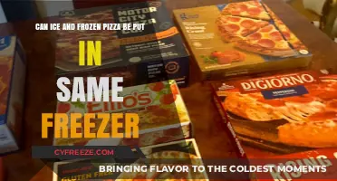 Chill Companions: Ice and Frozen Pizza's Freezer Friendship