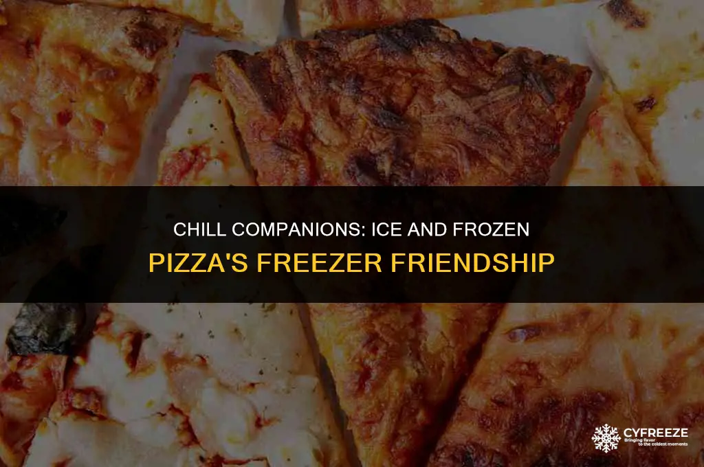 can ice and frozen pizza be put in same freezer