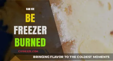 The Chill Truth: Understanding Freezer Burn on Ice