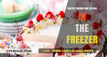 Does Ice Cream Cake Spoil in the Freezer? Surprising Facts