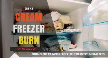 The Scoop on Ice Cream Freezer Burn: Myths and Facts