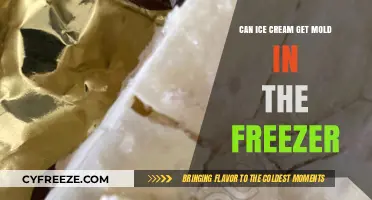 Sweet Treats, Not Moldy Surprises: Freezing Ice Cream Safely