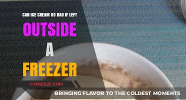 The Scoop on Ice Cream: Does It Spoil Outside the Freezer?
