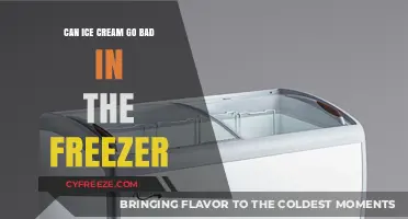 The Scoop on Ice Cream: Does It Really Go Bad in the Freezer?