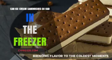 Do Ice Cream Sandwiches Spoil in the Freezer?