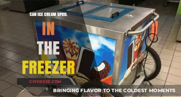 The Scoop on Ice Cream Spoilage: Freezer Facts Revealed