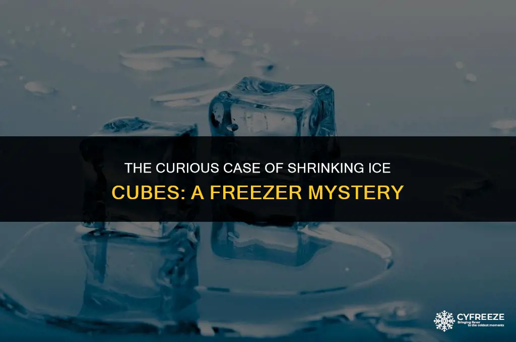 can ice cubes shrink in the freezer