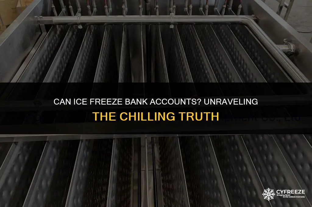 can ice freez bank accounts