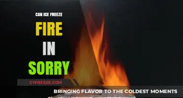 Exploring the Myth: Can Ice Truly Freeze Fire in Sorrow?