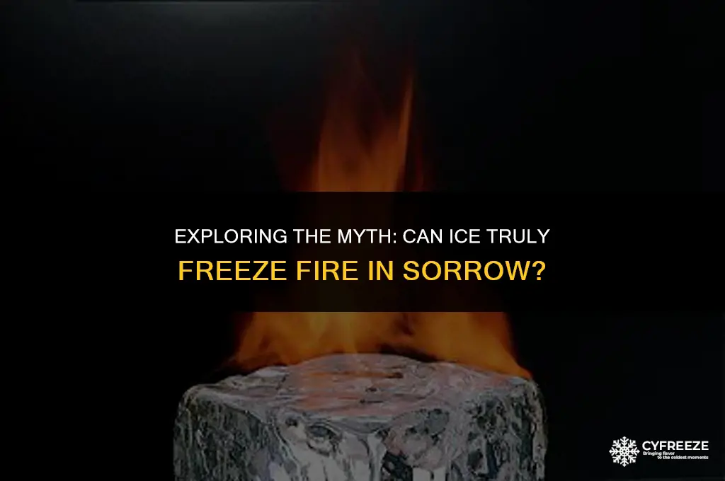can ice freeze fire in sorry