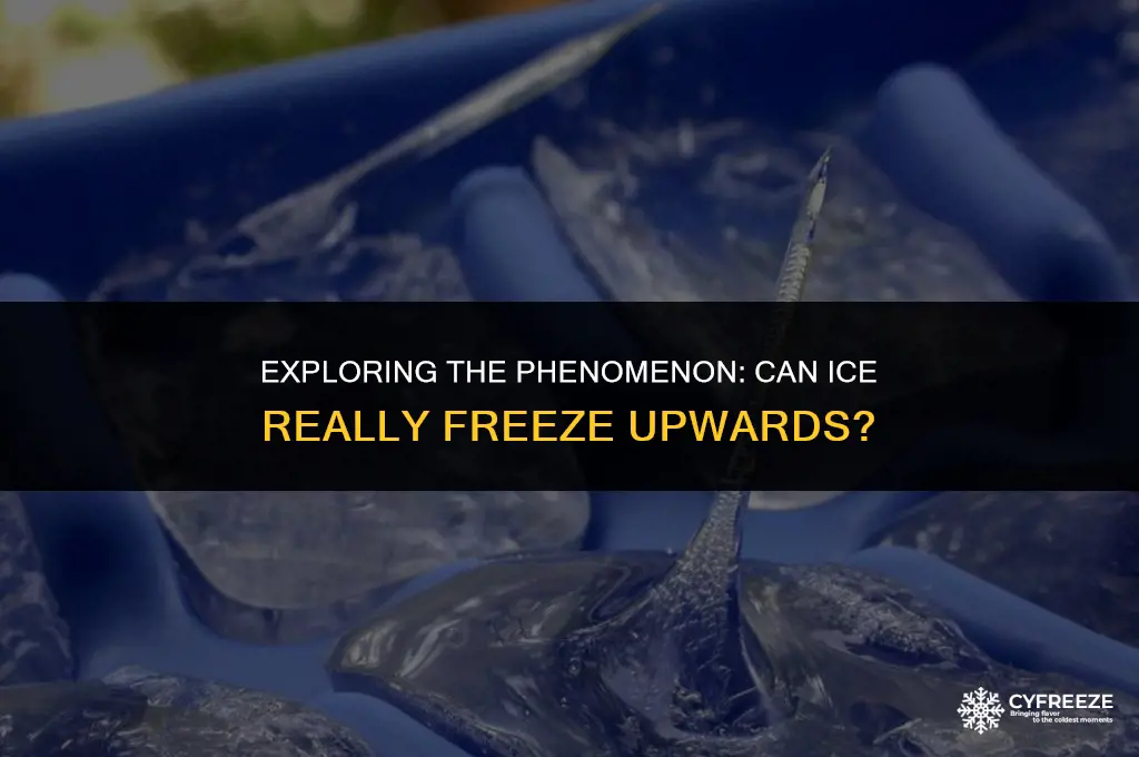 can ice freeze upwards