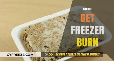 The Chill Truth: Does Ice Really Get Freezer Burn?