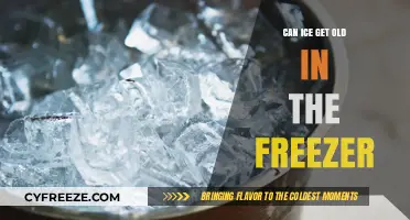 The Chill Factor: Does Ice Have an Expiration Date?