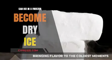 The Surprising Truth About Ice in Your Freezer: Can It Become Dry Ice?