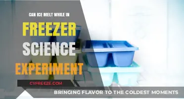 Exploring the Science: Can Ice Really Melt Inside a Freezer?