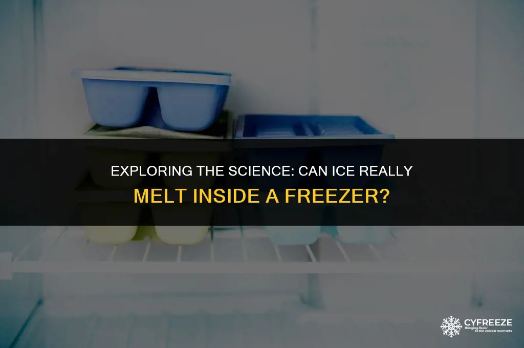 can ice melt while in freezer science experiment