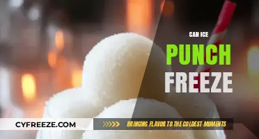 Exploring the Chilling Possibilities: Can Ice Punch Freeze?