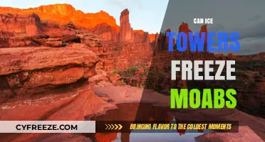 Chilling Myths: Can Ice Towers Really Freeze Moabs?