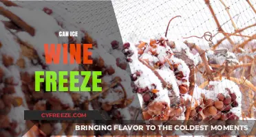 Chilling Secrets: Can Ice Wine Freeze and Maintain Its Quality?