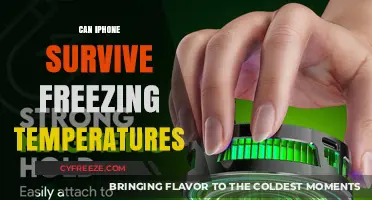 Can Your iPhone Survive Freezing Temperatures? Expert Tips and Insights