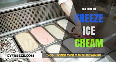 Chill Facts: Can Just Ice Freeze Ice Cream?