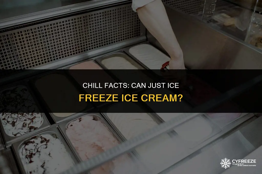 can just ice freeze ice cream