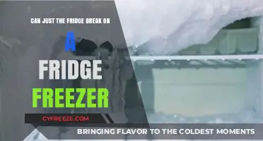 Can Just the Fridge Break on a Fridge Freezer?