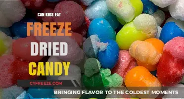 Sweet Treats or Risky Eats: Freeze-Dried Candy for Kids?