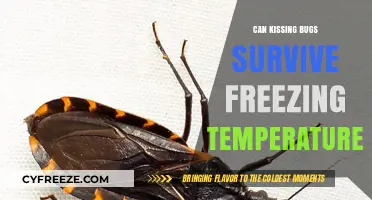 Can Kissing Bugs Survive Winter's Freeze? Uncovering the Truth