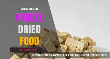Exploring Freeze-Dried Food Options for Your Playful Kittens