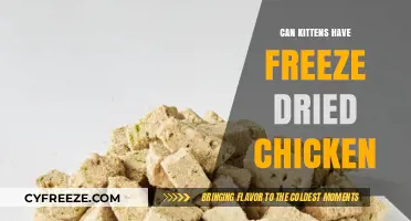 Exploring Freeze-Dried Chicken as a Treat for Kittens: Safe or Not?