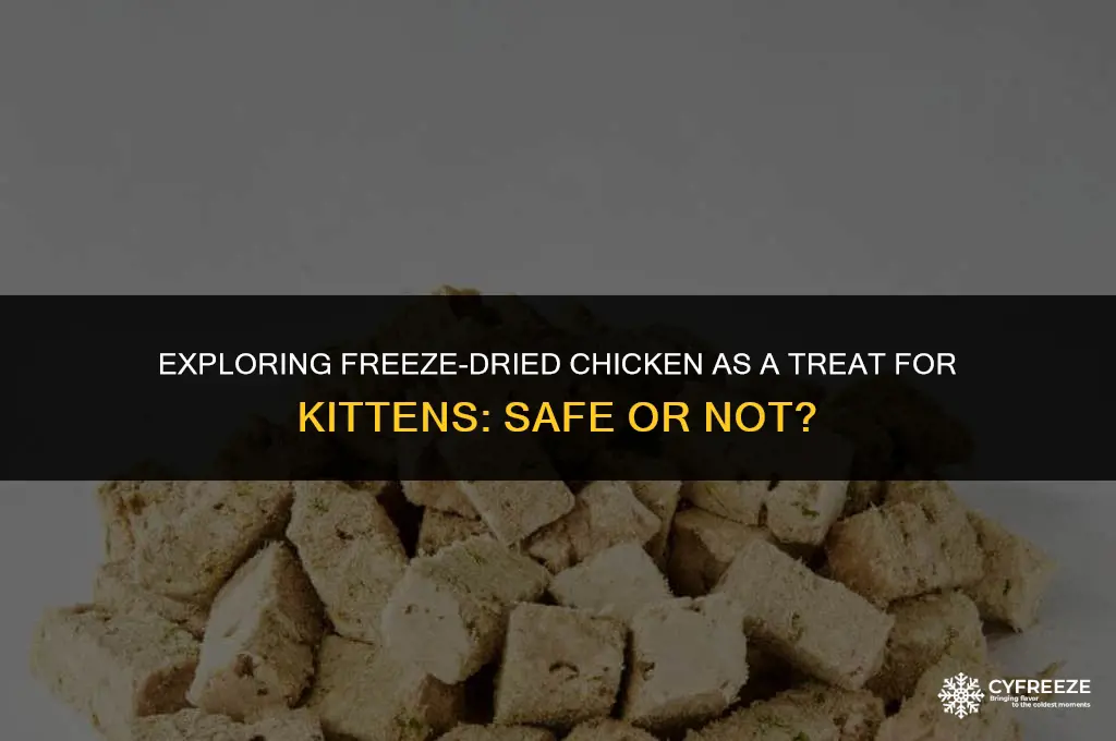 can kittens have freeze dried chicken