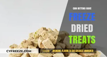 Purr-fectly Safe: Exploring Freeze-Dried Treats for Kittens