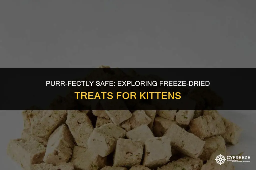 can kittens have freeze dried treats