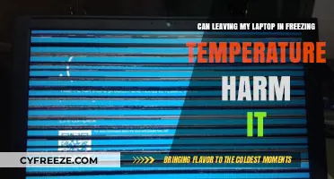 Freezing Temps and Laptops: Potential Risks and How to Protect Your Device