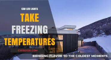 Can LED Lights Withstand Freezing Temperatures? A Comprehensive Guide